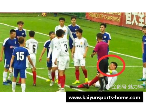 球员遭遇袭击：体育界的安全警示