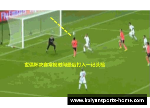 维达：从球场巅峰到人生新篇章