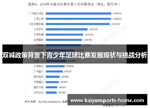 双减政策背景下青少年足球比赛发展现状与挑战分析