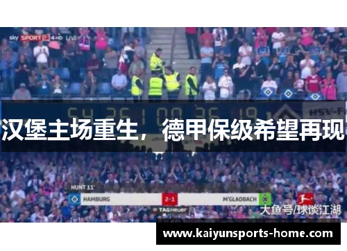 汉堡主场重生，德甲保级希望再现