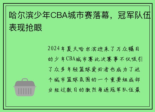 哈尔滨少年CBA城市赛落幕，冠军队伍表现抢眼