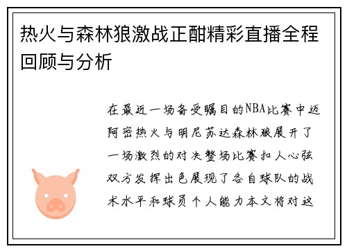 热火与森林狼激战正酣精彩直播全程回顾与分析